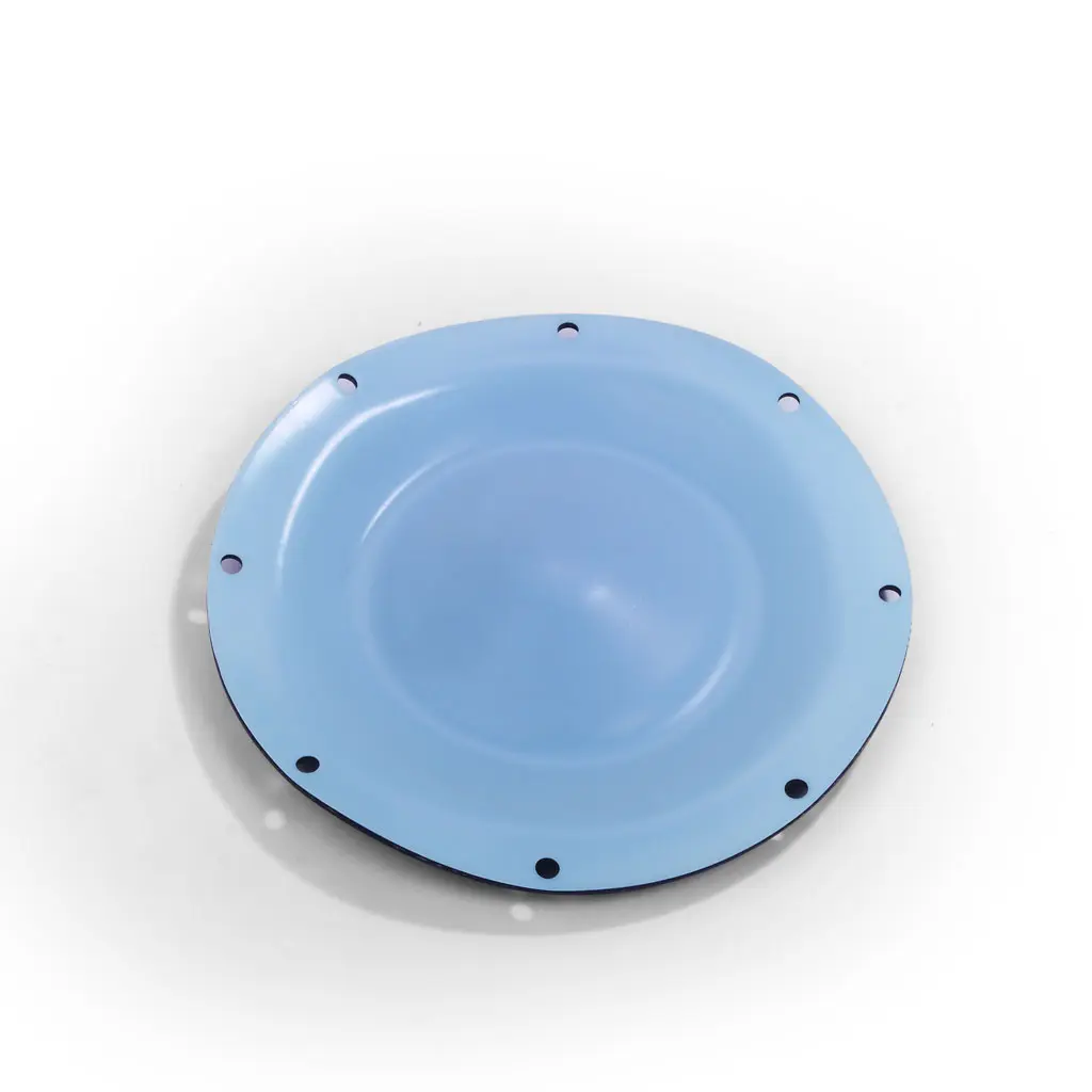 DIAPHRAGM TEFLON (1 50 50 05)