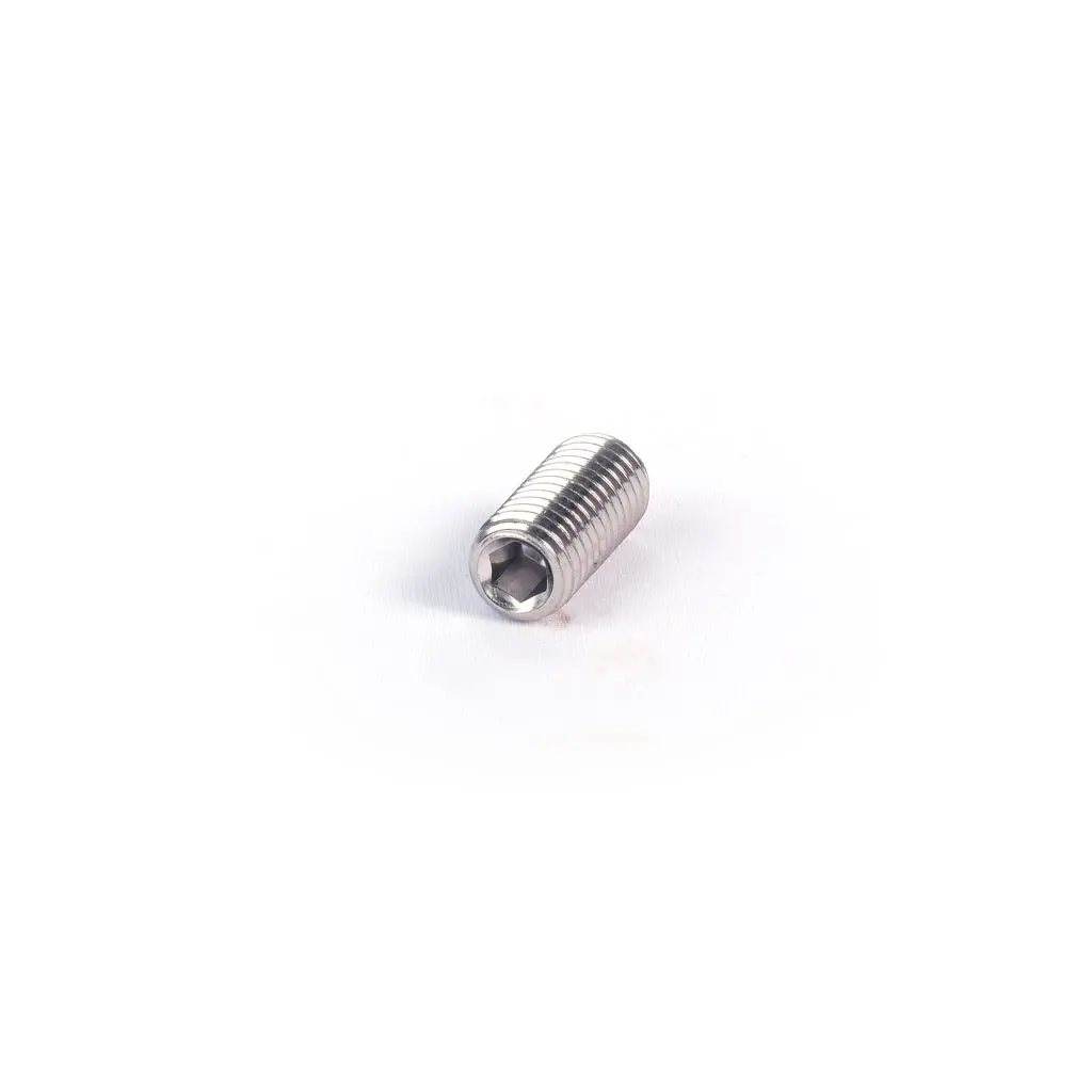 SHAFT ALLEN PIN SCREW AISI 304 (1 25 540 50)