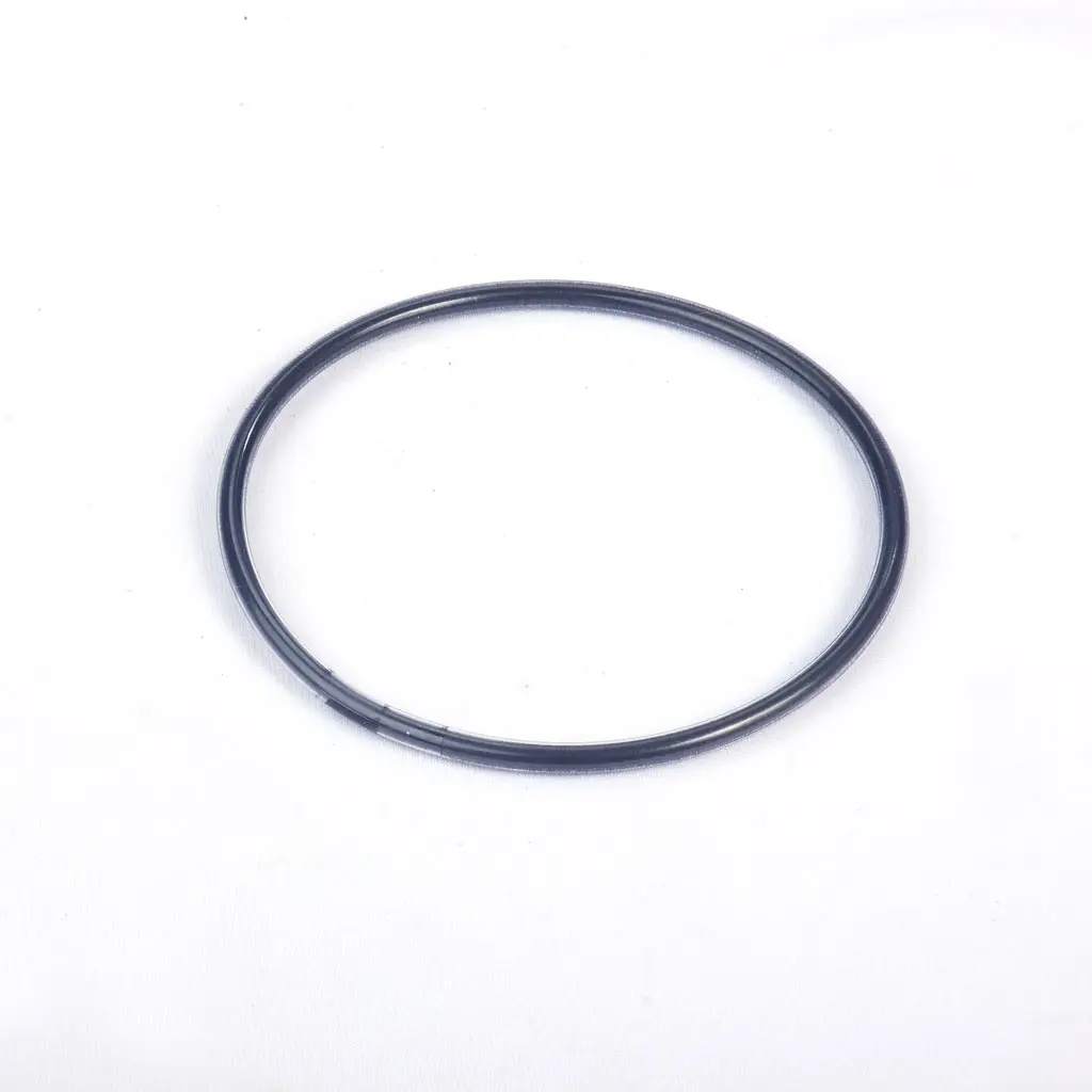 O-RING INLET/ OUTLET FFKM (2 50 70 04)