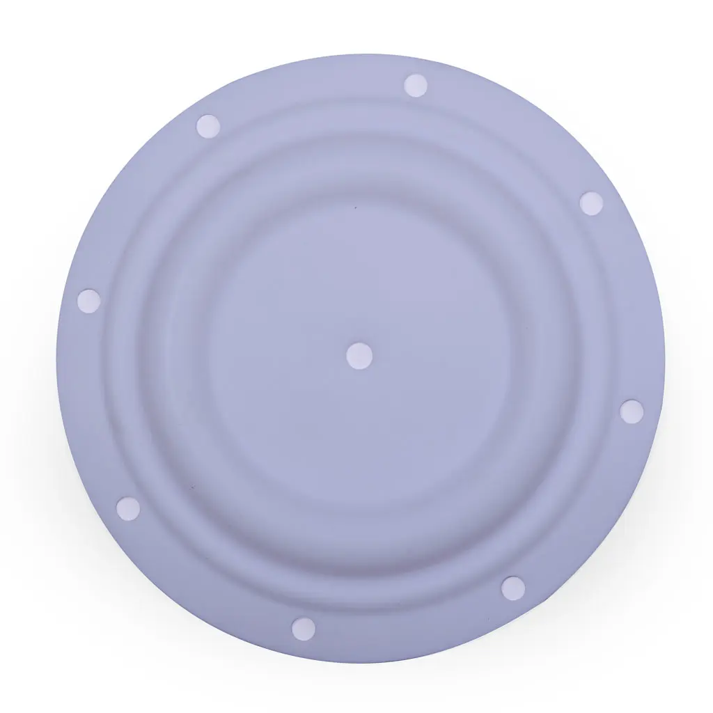 DIAPHARGM TEFLON 1/4" (06-141)