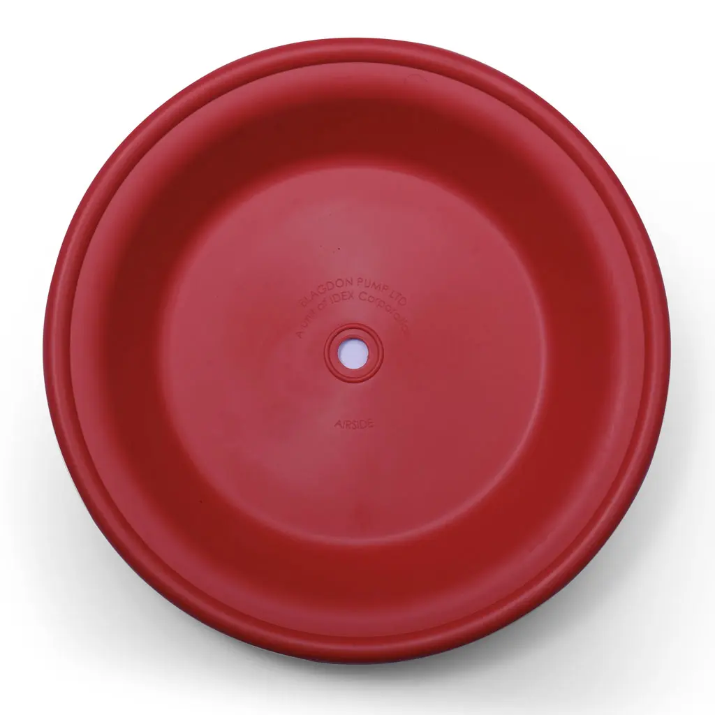 DIAPHARGM BACKUP 1/2" (1H-051)
