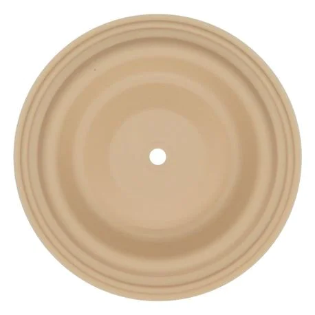 BACK-UP DIAPHRAGM 2" - SANTOPRENE