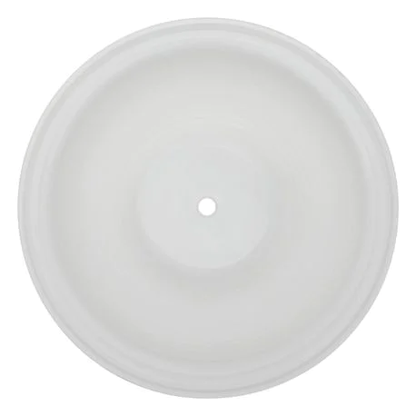 Diaphragm Primary PTFE