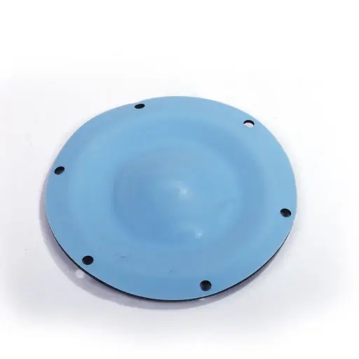 [1 25 5005] TEFLON DIAPHRAGM (1 25 5005)