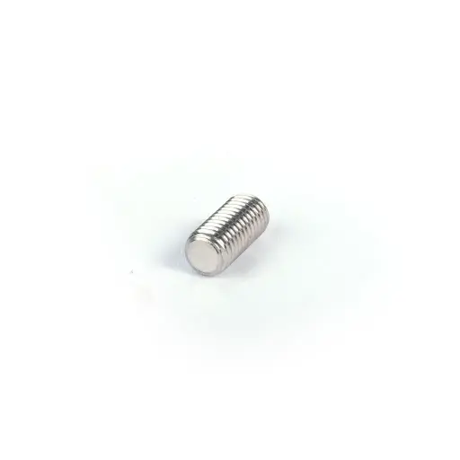 [1 15 540 50] SHAFT ALLEN PIN SCREW AISI 304 (1 15 540 50)