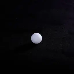 VALVE BALL PTFE (1 10 60 23)