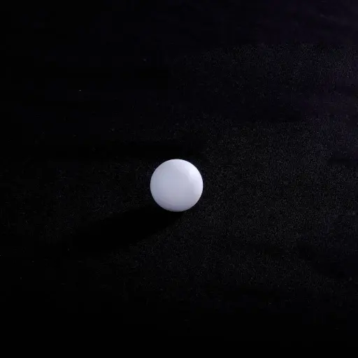 [1 10 60 23] VALVE BALL PTFE (1 10 60 23)