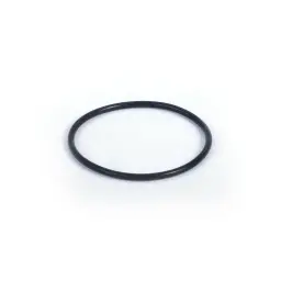 O-RING FPM (1 15 080 09)