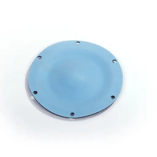 [1 1550 05] DIAPHRAGM TEFLON (1 1550 05)