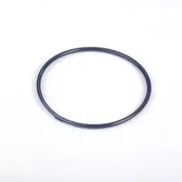 UPPER PLUG O-RING FFKM (2 50 78 04)