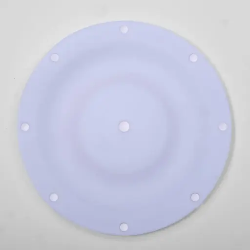 [1A-071] DIAPHRAGM TEFLON - 1" (1A-071)