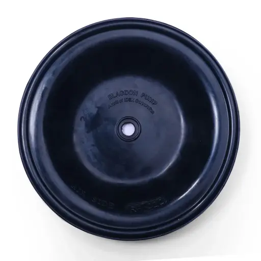 [25-013] DIAPHRAGM VITON - 1" (25-013)