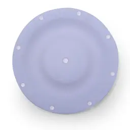 DIAPHARGM TEFLON 1/2" (1H-038)