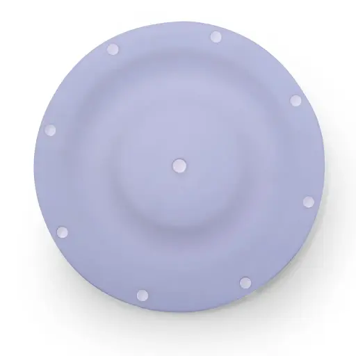 [1H-038] DIAPHARGM TEFLON 1/2" (1H-038)