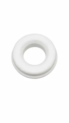 [50-048] VALVE SEAT TEFLON 2"  (50-048)