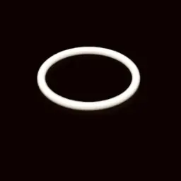 O-RING EXI (G-111)