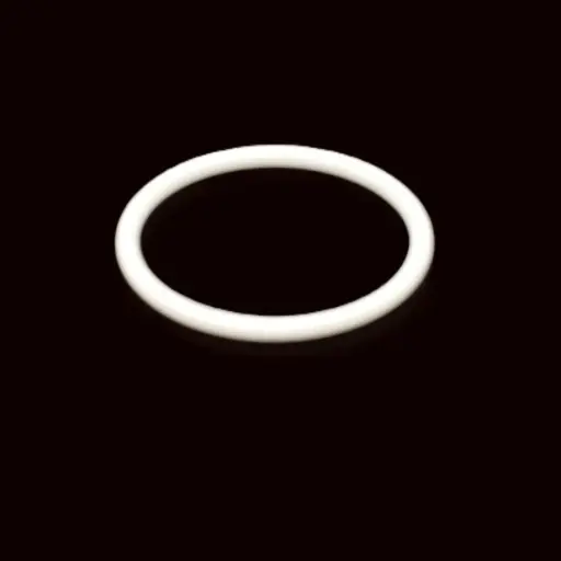 [G-058] O-RING PTFE-EXB