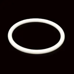 O-RING PTFE - EXB