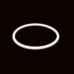 O-RING PTFE - EXB