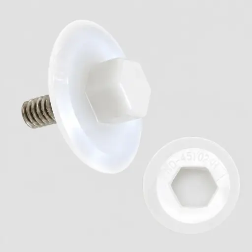 [V 00-4570-21] Piston, Outer, (Combo)