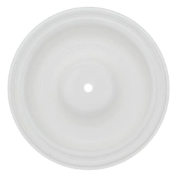 Diaphragm Primary PTFE