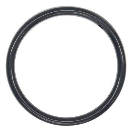 [V 04-1300-60-500] O-Ring, (2.734 X.139)Tfe/Vt,Ch