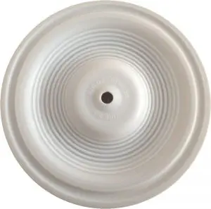 [V 02-1010-55] Diaphragm Primary PTFE