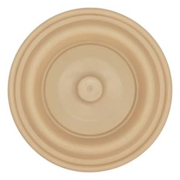 DIAPHRAGM, PRIMARY, H200